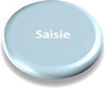 Saisie