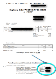 Exemple d'un facture contenant la zone à saisir pour la paiement de votre facture